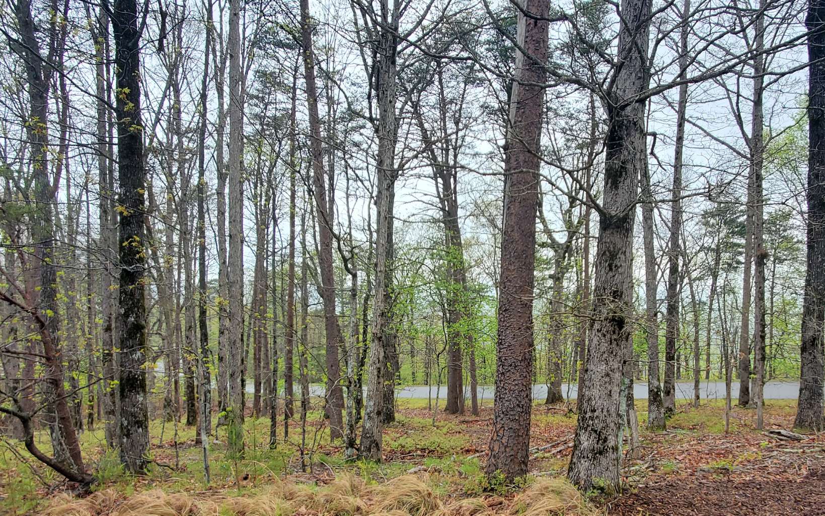 155 Sharp Mountain Parkway Jasper, GA 30143 - Photo 10 of 19 Additional View