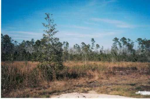 37165 Murray Road Pearl River, LA 70452 - Photo 7 of 7 Gallery Image 7