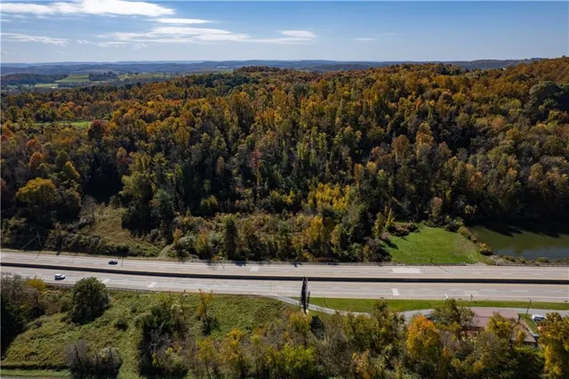 a view of a lots of trees and flowers