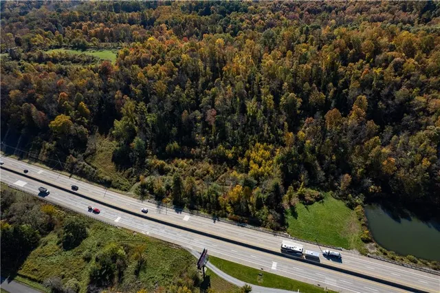 a view of a forest filled with trees