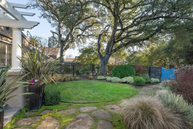 a view of a garden with a tree
