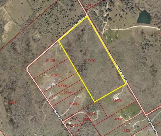 a view of a yard with trees