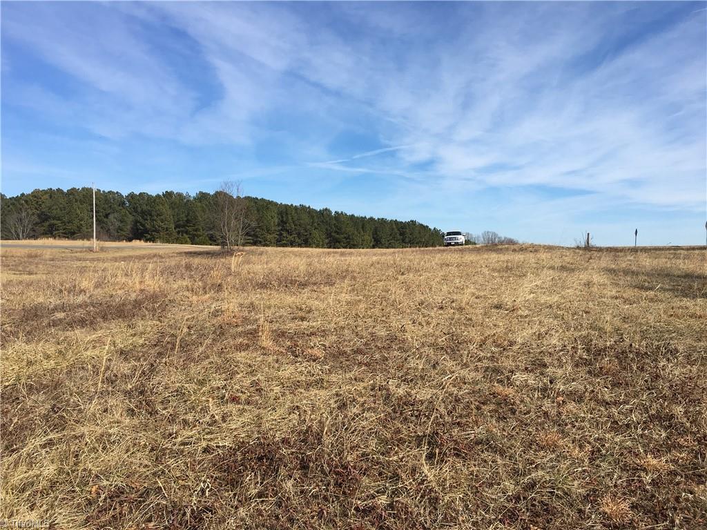 0 George Chandler Road Mount Airy, NC 27030 - Photo 14 of 14 Gallery Image 14