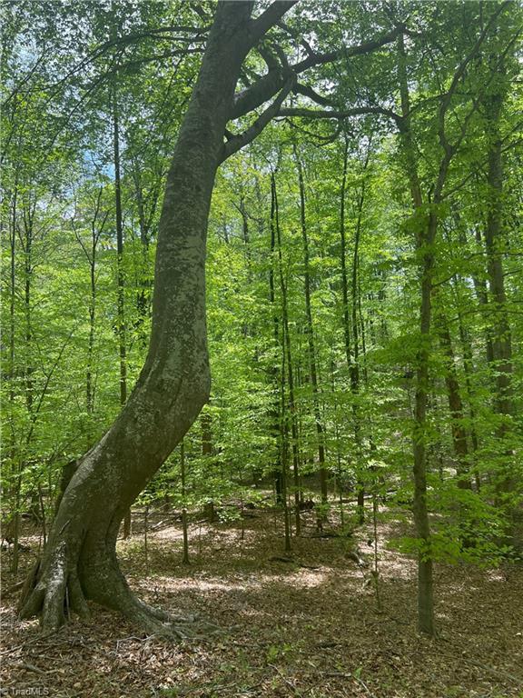 0 Pebble Brook Road Sandy Ridge, NC 27046 - Photo 11 of 25