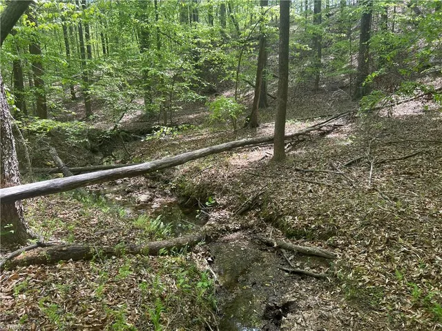 $42,000 | 0 Pebble Brook Road, Sandy Ridge, NC 27046