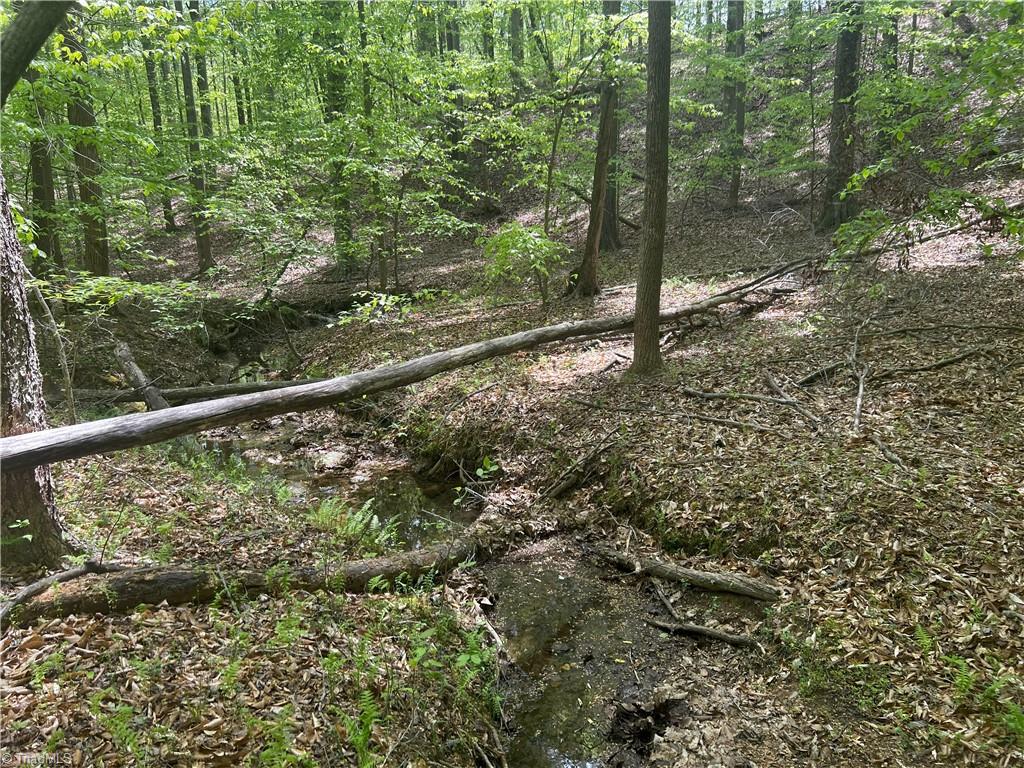 0 Pebble Brook Road Sandy Ridge, NC 27046 - Photo 12 of 25