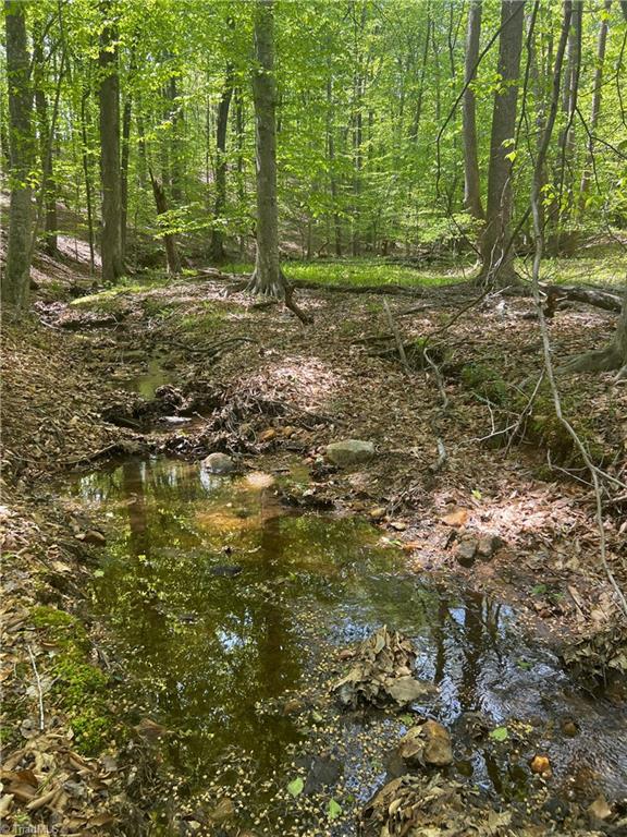 0 Pebble Brook Road Sandy Ridge, NC 27046 - Photo 13 of 25