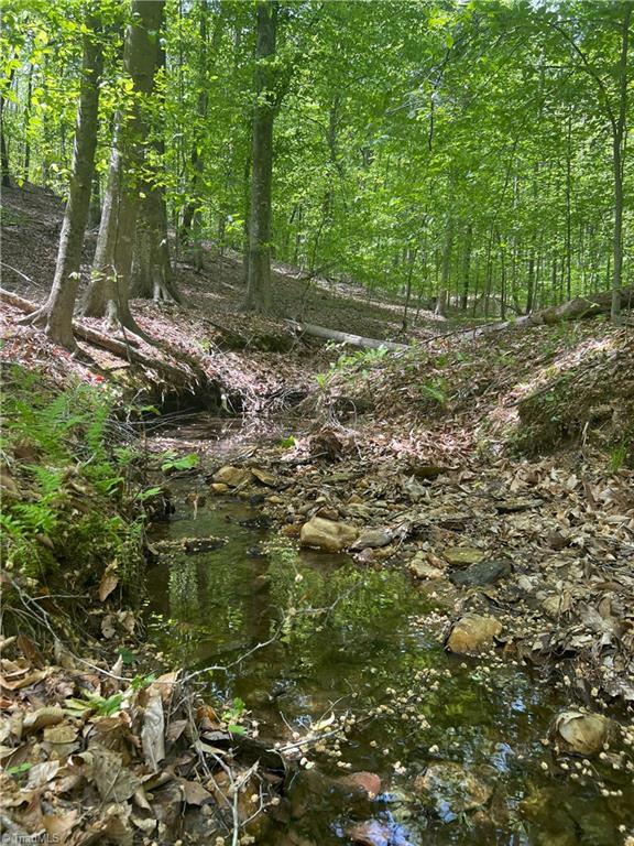 0 Pebble Brook Road Sandy Ridge, NC 27046 - Photo 14 of 25