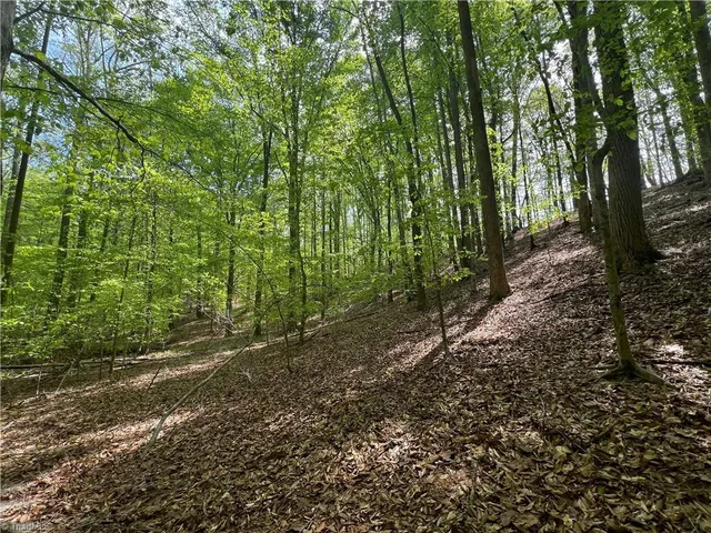 $42,000 | 0 Pebble Brook Road, Sandy Ridge, NC 27046