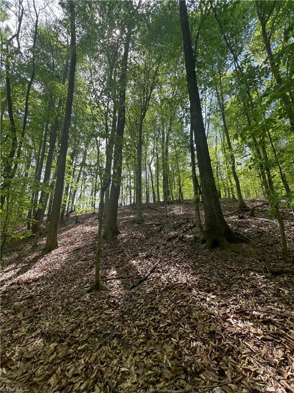 0 Pebble Brook Road Sandy Ridge, NC 27046 - Photo 16 of 25