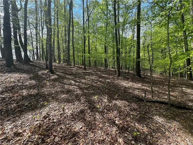 $42,000 | 0 Pebble Brook Road, Sandy Ridge, NC 27046