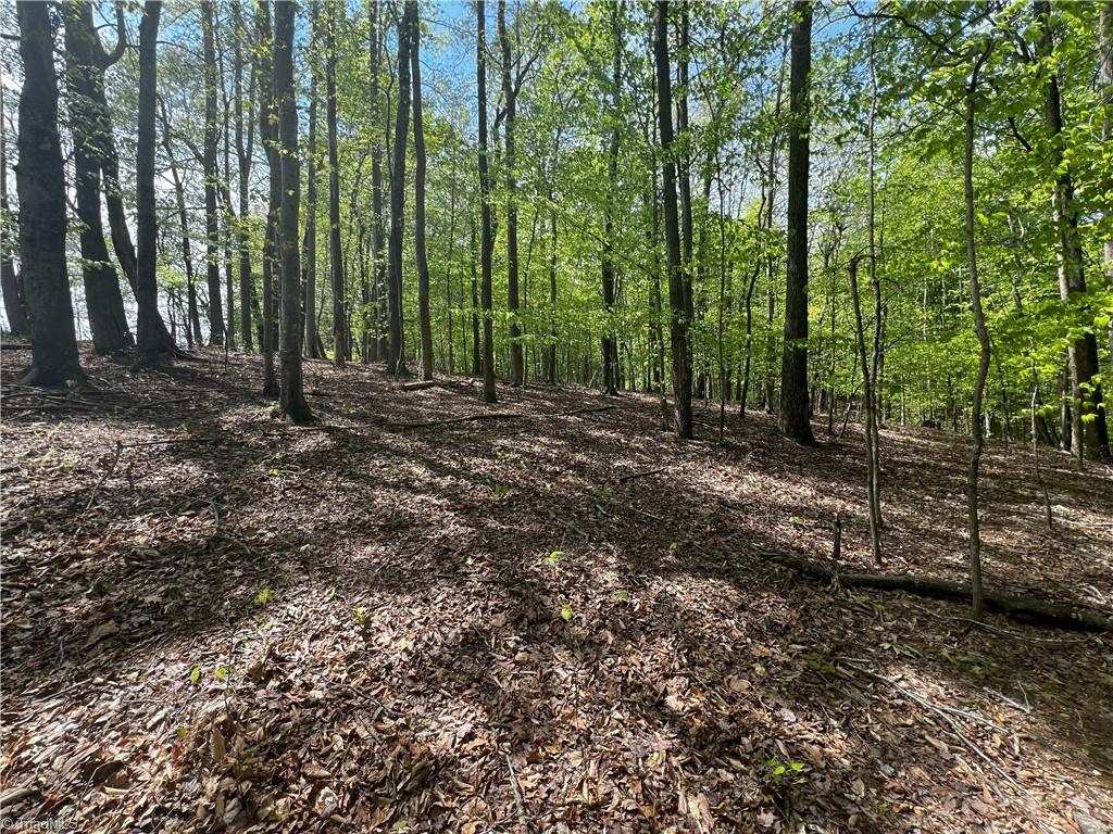 0 Pebble Brook Road Sandy Ridge, NC 27046 - Photo 17 of 25