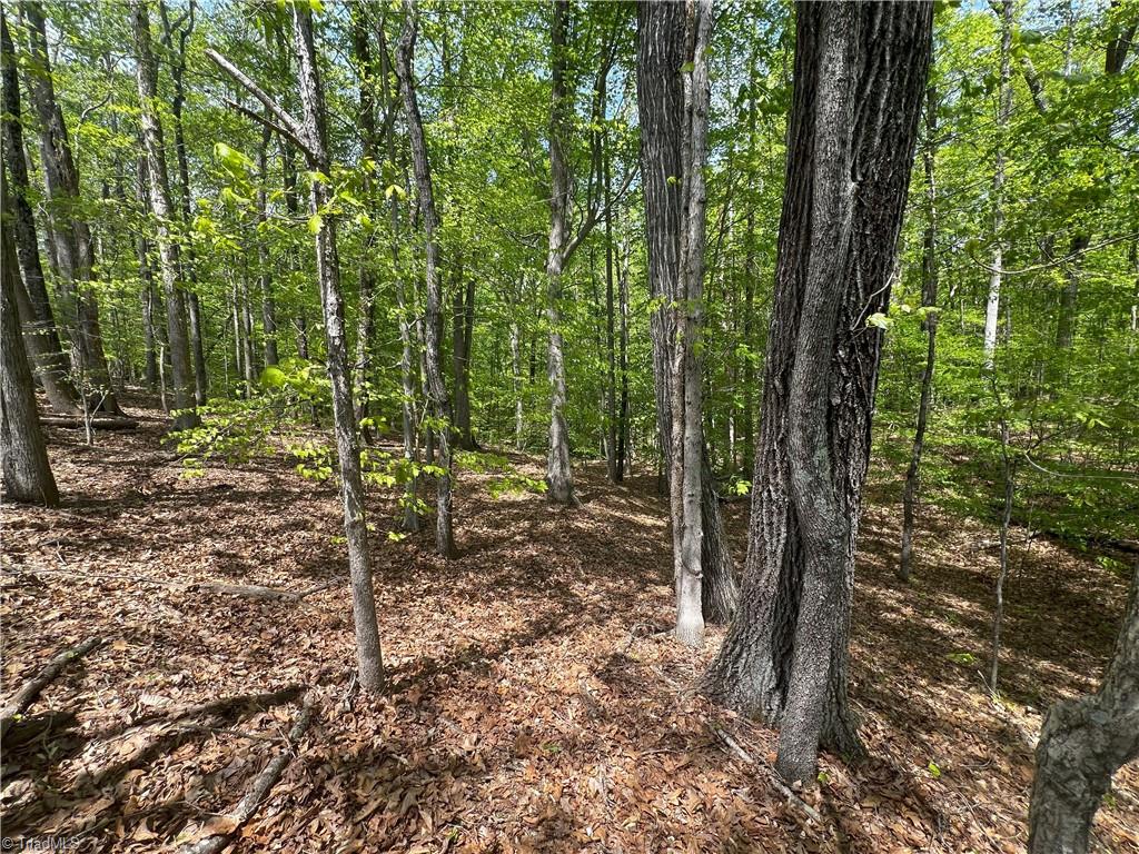 0 Pebble Brook Road Sandy Ridge, NC 27046 - Photo 18 of 25