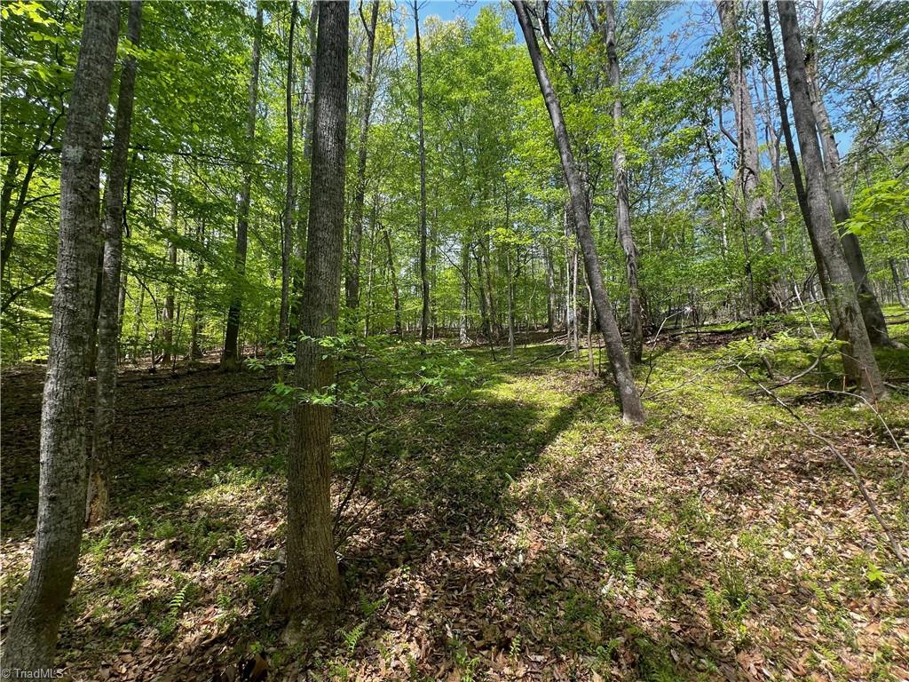 0 Pebble Brook Road Sandy Ridge, NC 27046 - Photo 19 of 25