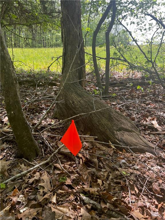 0 Pebble Brook Road Sandy Ridge, NC 27046 - Photo 20 of 25