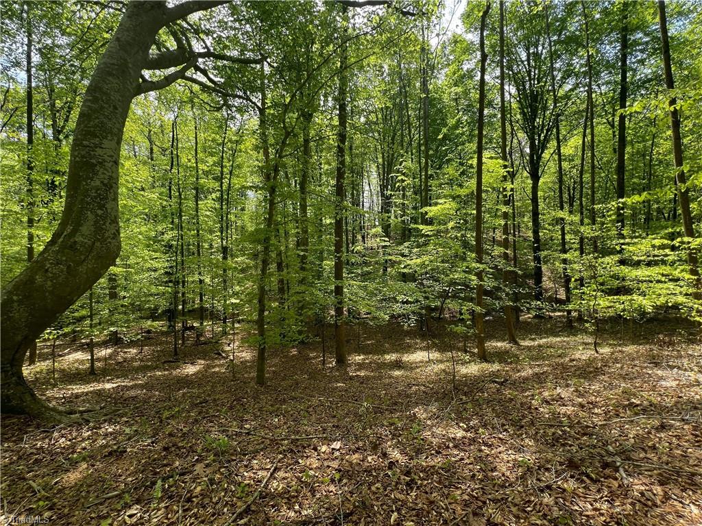 0 Pebble Brook Road Sandy Ridge, NC 27046 - Photo 2 of 25