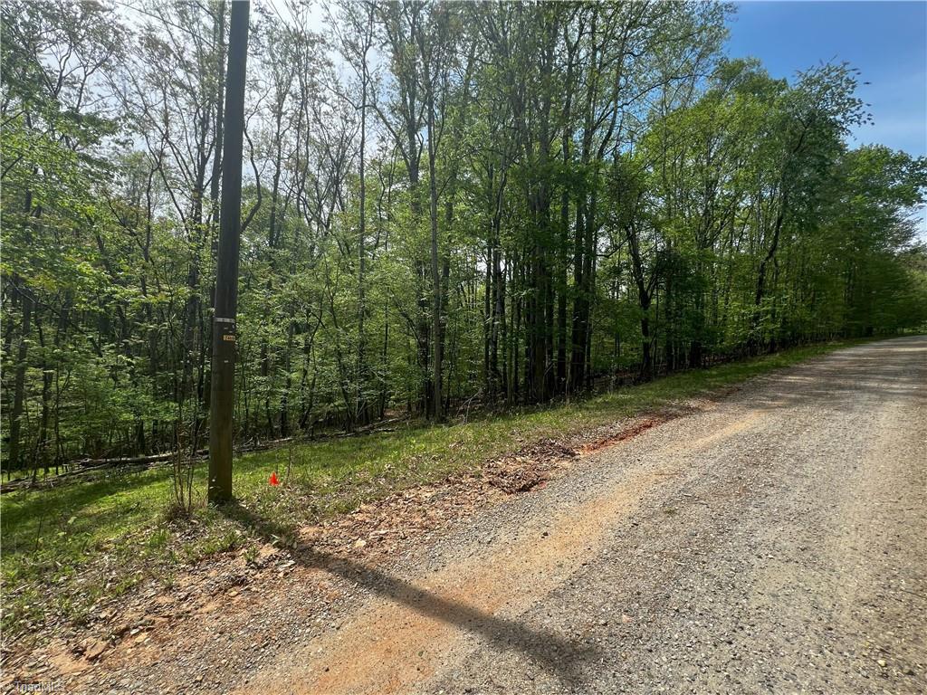 0 Pebble Brook Road Sandy Ridge, NC 27046 - Photo 10 of 25