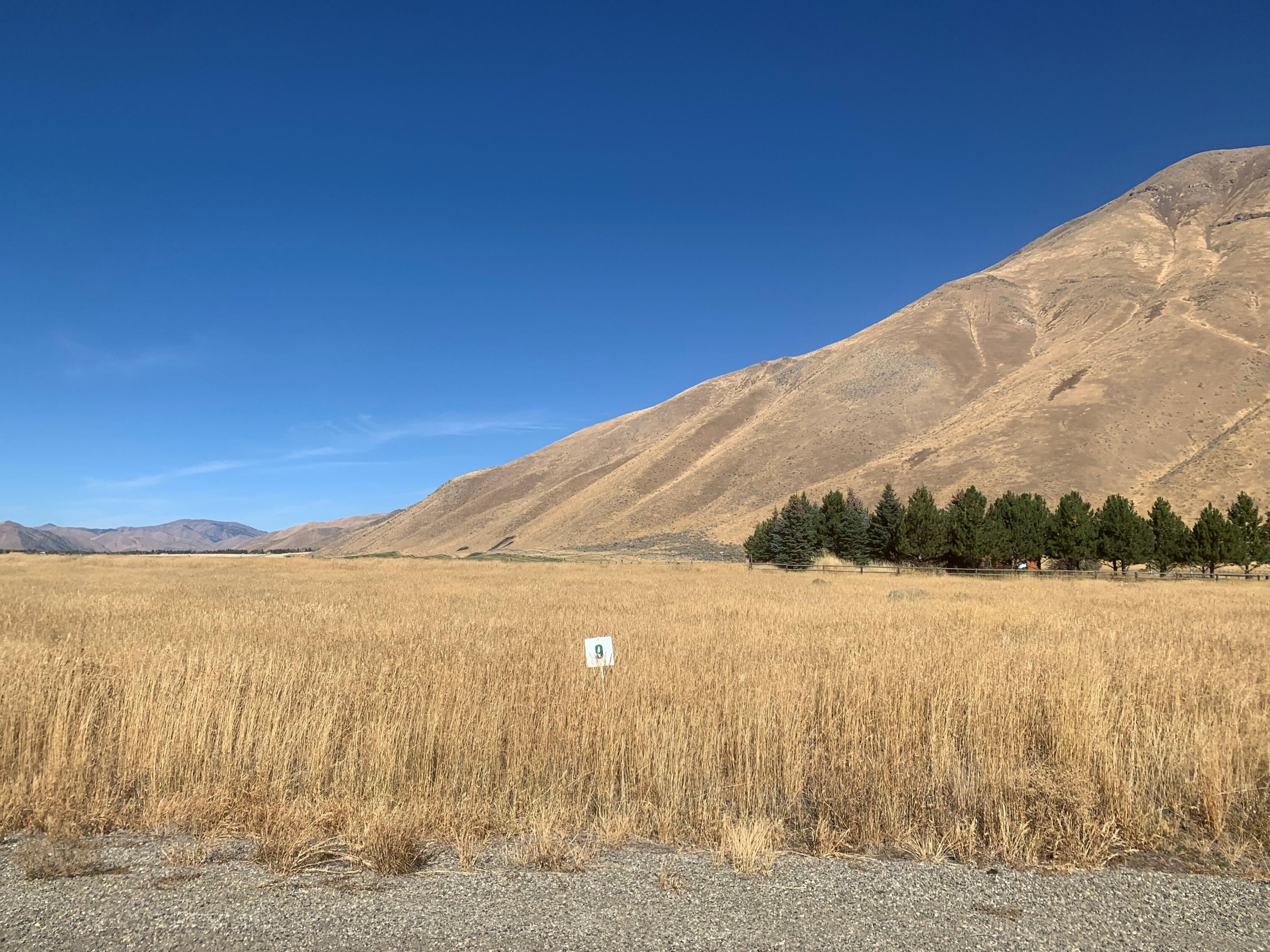 Griffin Ranch Lot 9 #1