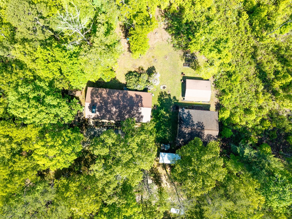 735 Liberty Circle Murphy, NC 28906 - Photo 2 of 45