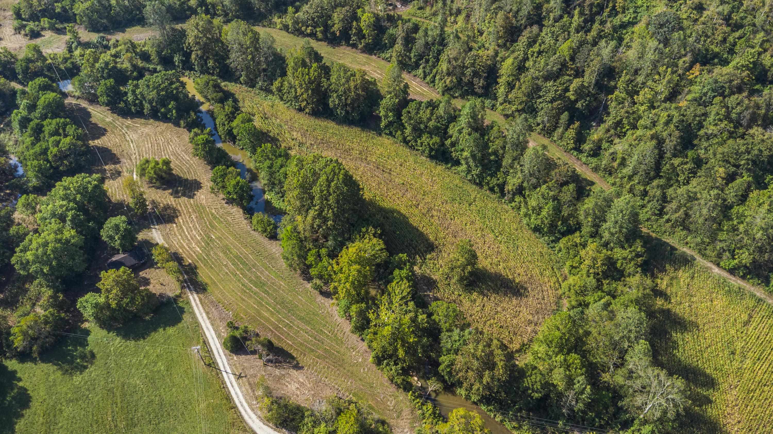 0 Tate Hollow Road Louisa, KY 41230 - Photo 44 of 50