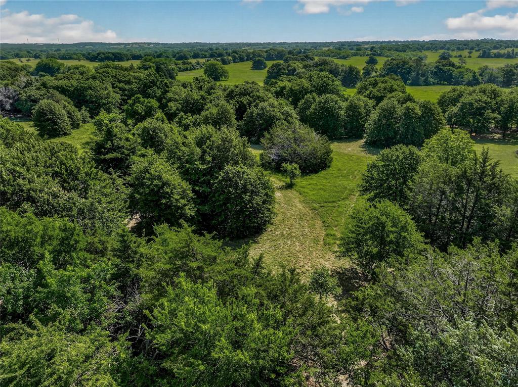 Tbd Grubbs Road Aubrey, TX 76227 - Photo 14 of 14 a view of a lush green forest with lots of trees