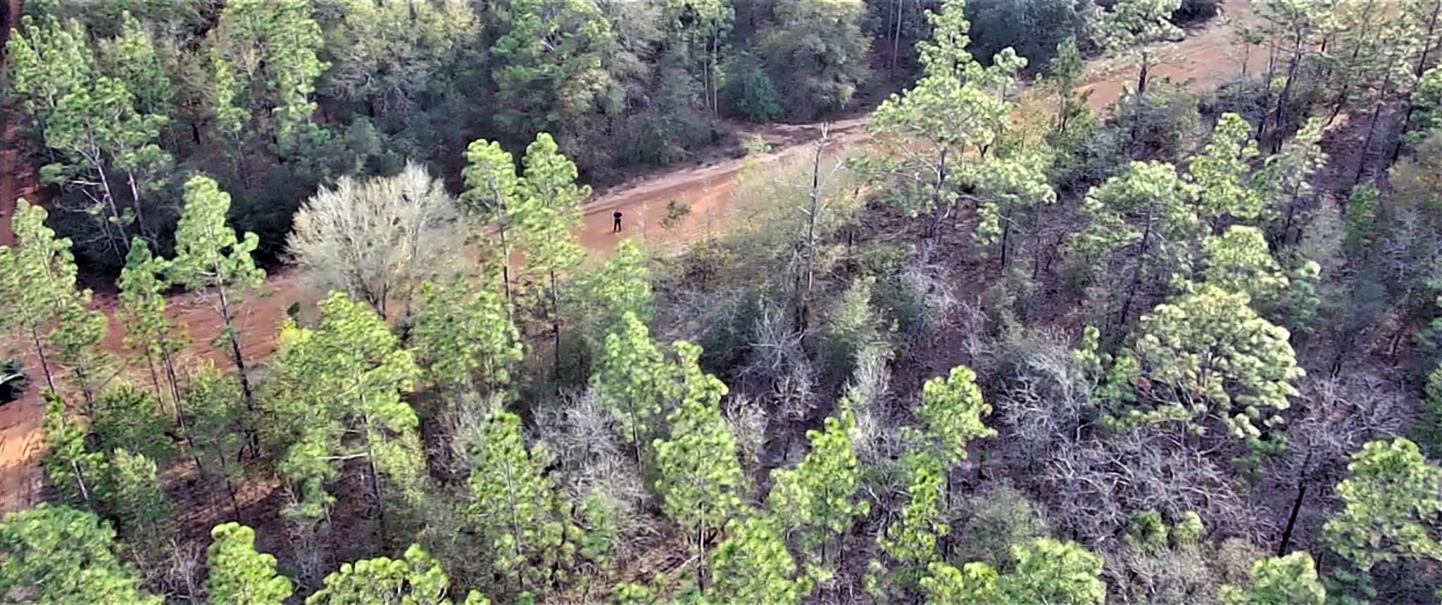 Cooper Road Holt, FL 32564 - Photo 12 of 17 Gallery Image 12