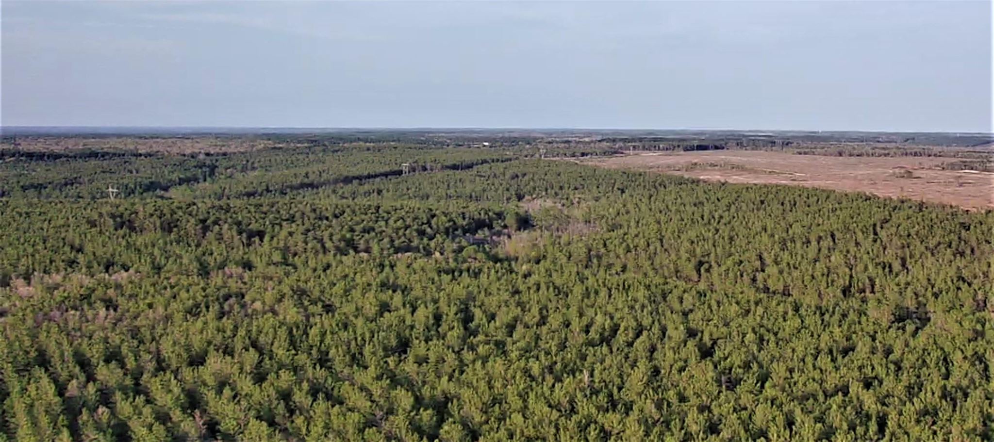 Cooper Road Holt, FL 32564 - Photo 17 of 17 Gallery Image 17