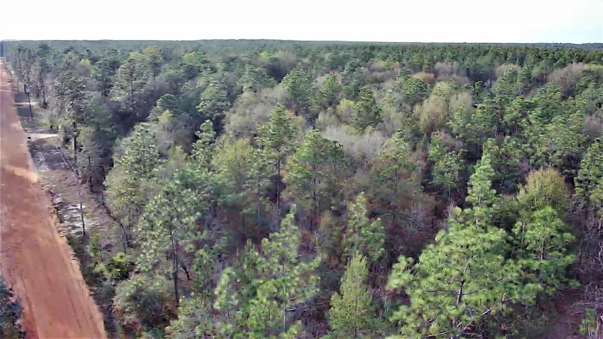 Cooper Road Holt, FL 32564 - Photo 2 of 17 Gallery Image 2