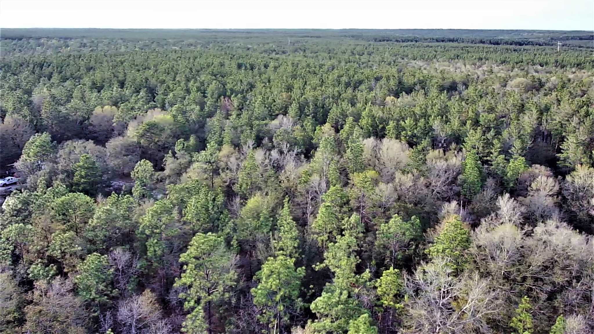 Cooper Road Holt, FL 32564 - Photo 10 of 17 Gallery Image 10