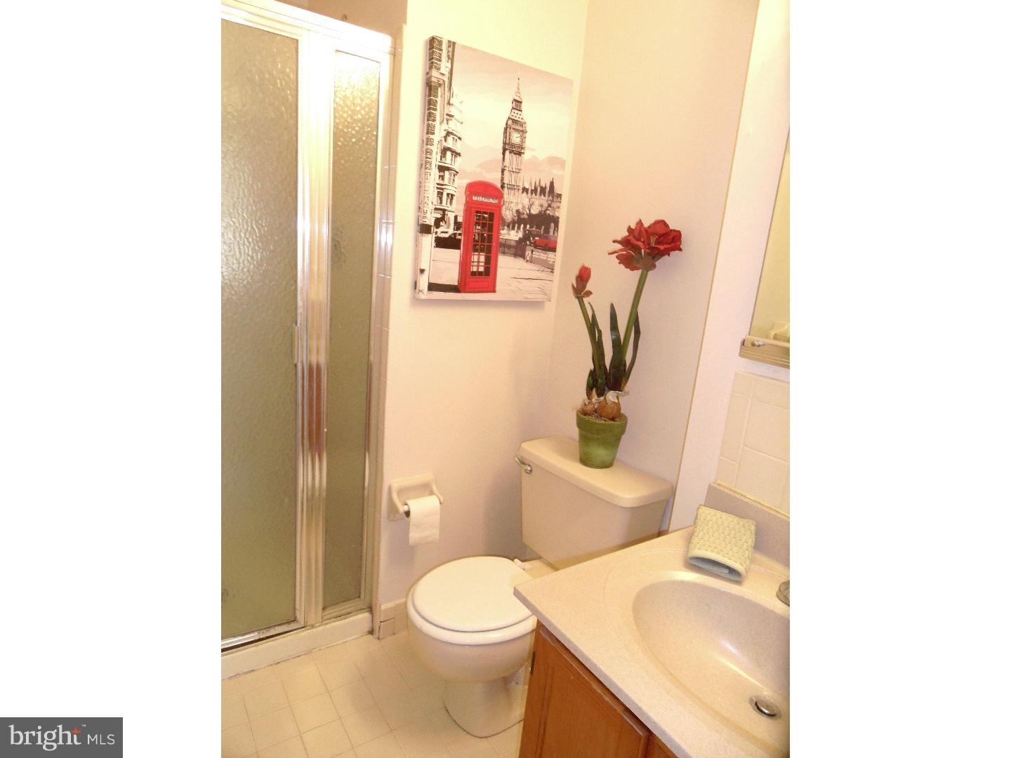 1233 Morstein Road West Chester, PA 19380 - Photo 19 of 25 Master Bathroom