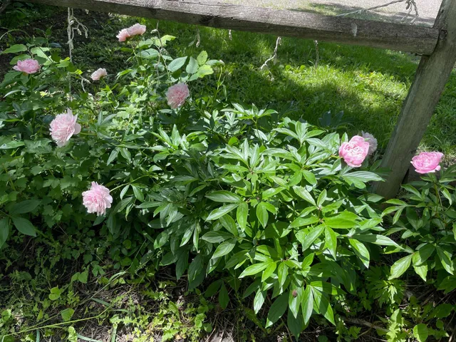 $210,000 | 12624 Highway 212, Sacred Heart, MN 56285