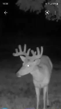 $210,000 | 12624 Highway 212, Sacred Heart, MN 56285