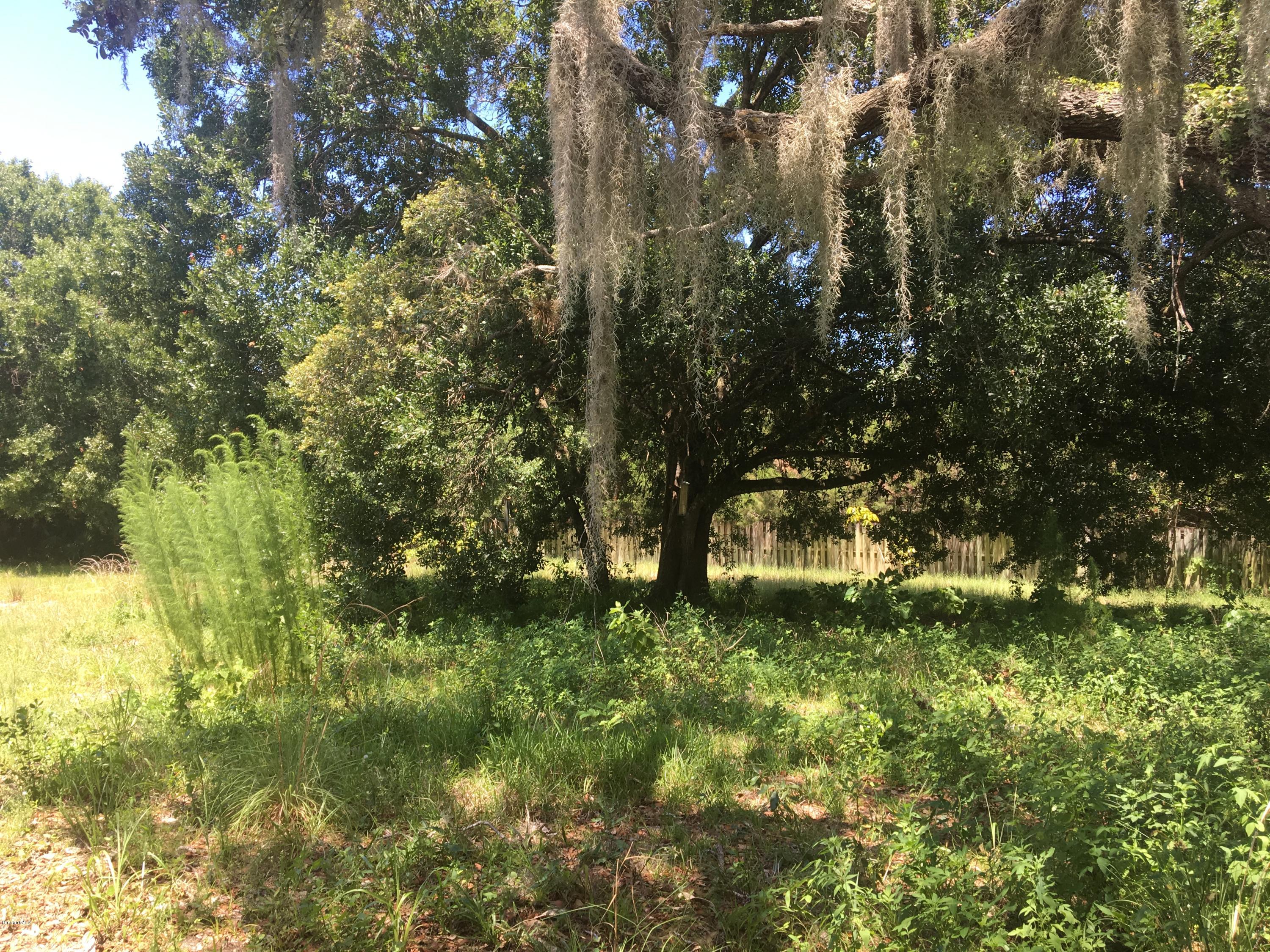 3485 Turtle Mound Road Melbourne, FL 32934 - Photo 2 of 30 Backyard