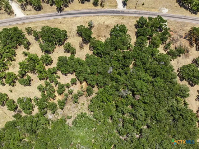 a view of a lake with a park