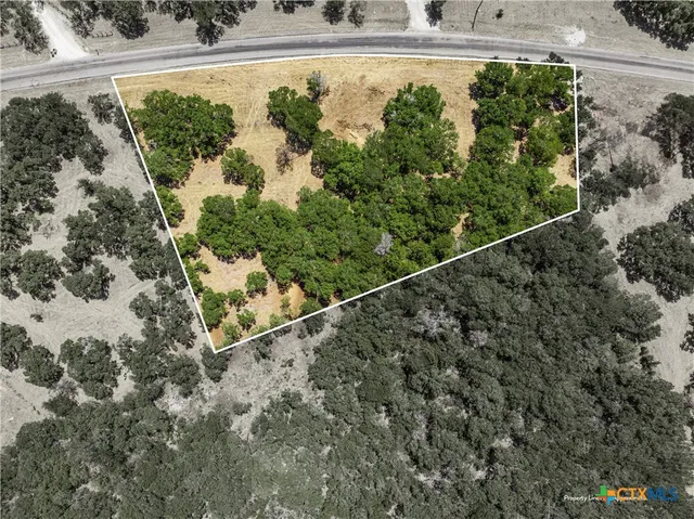 a view of a yard with plants