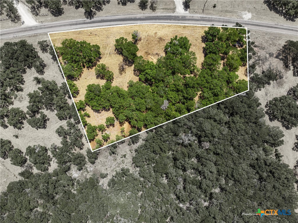 Tbd Owl Creek Park Road Gatesville, TX 76528 - Photo 22 of 27 a view of a yard with plants
