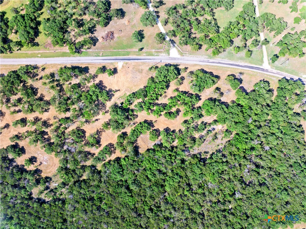 Tbd Owl Creek Park Road Gatesville, TX 76528 - Photo 25 of 27 a view of a bunch of flowers