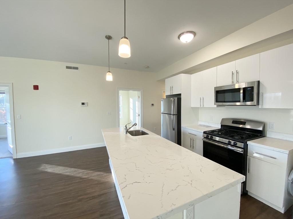 81 Amory Street, Unit 204 Boston, MA 02119 - Photo 2 of 12 a kitchen with stainless steel appliances a stove a refrigerator a sink a microwave oven with white cabinets and wooden floor