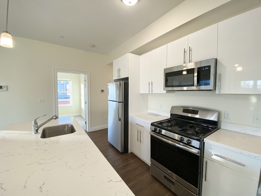 81 Amory Street, Unit 204 Boston, MA 02119 - Photo 3 of 12 a kitchen with stainless steel appliances a stove a microwave and white cabinets