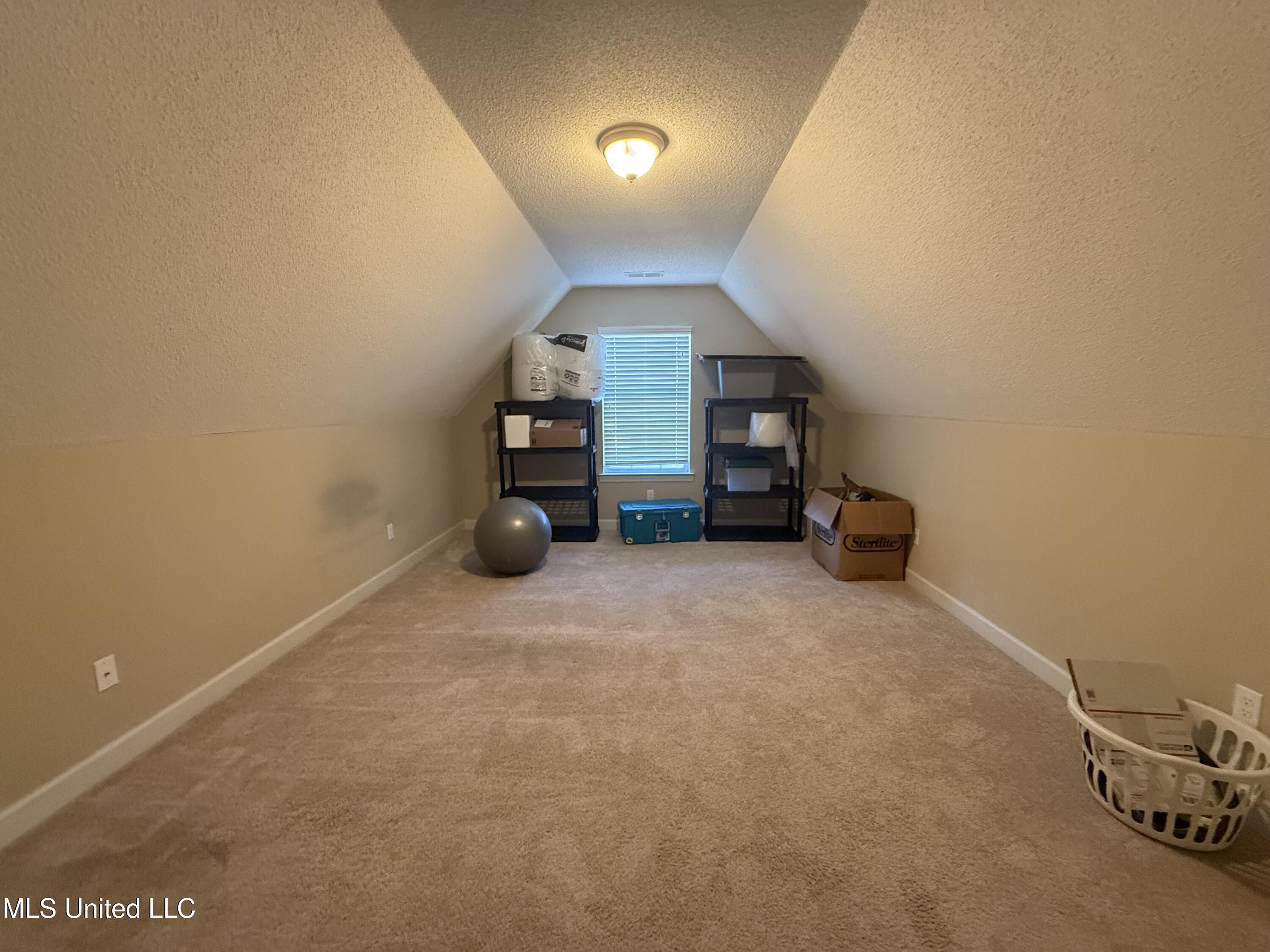 8245 Morning Sun Cove Walls, MS 38680 - Photo 19 of 30 IMG_4855