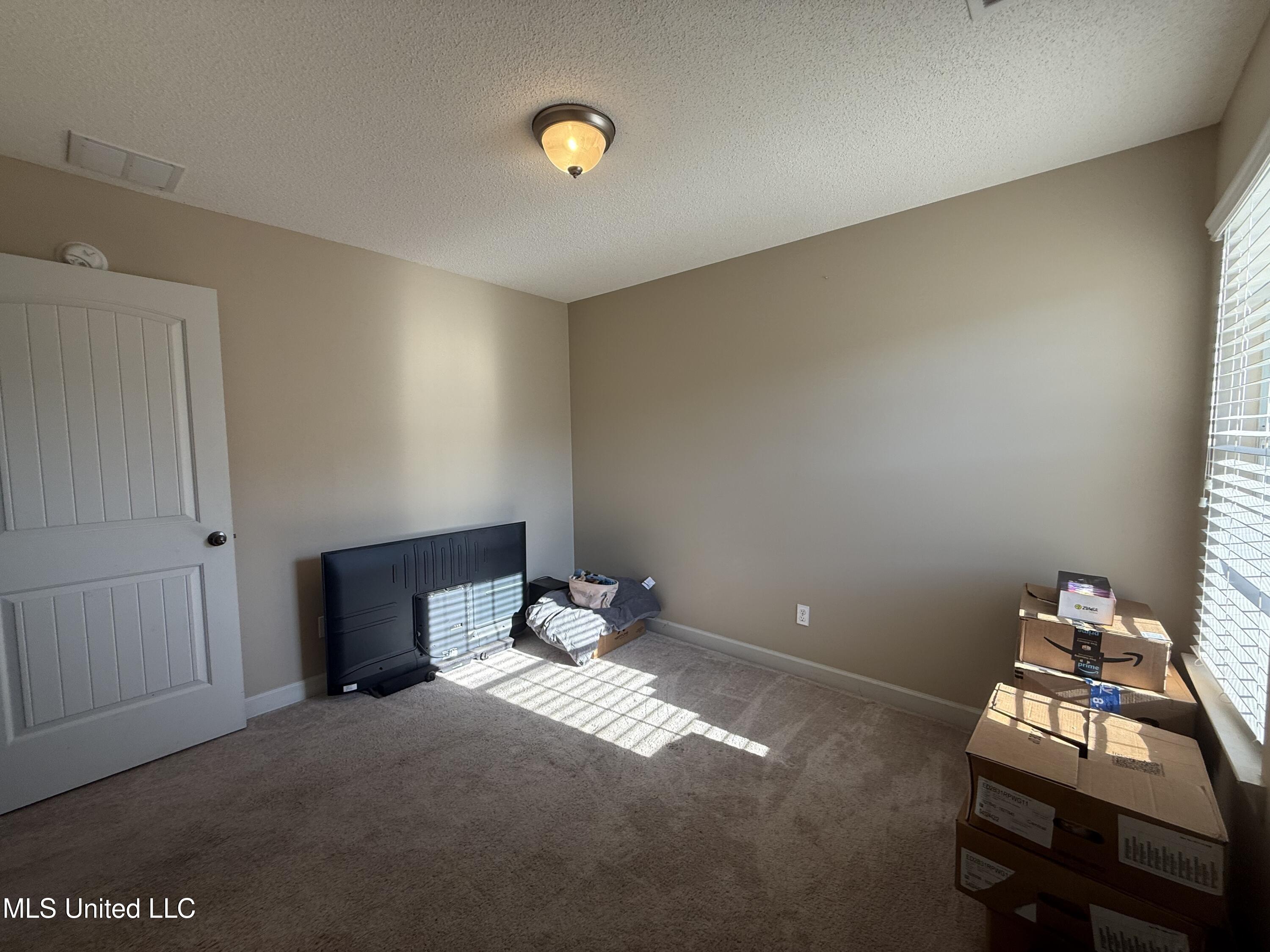 8245 Morning Sun Cove Walls, MS 38680 - Photo 24 of 30 IMG_4870