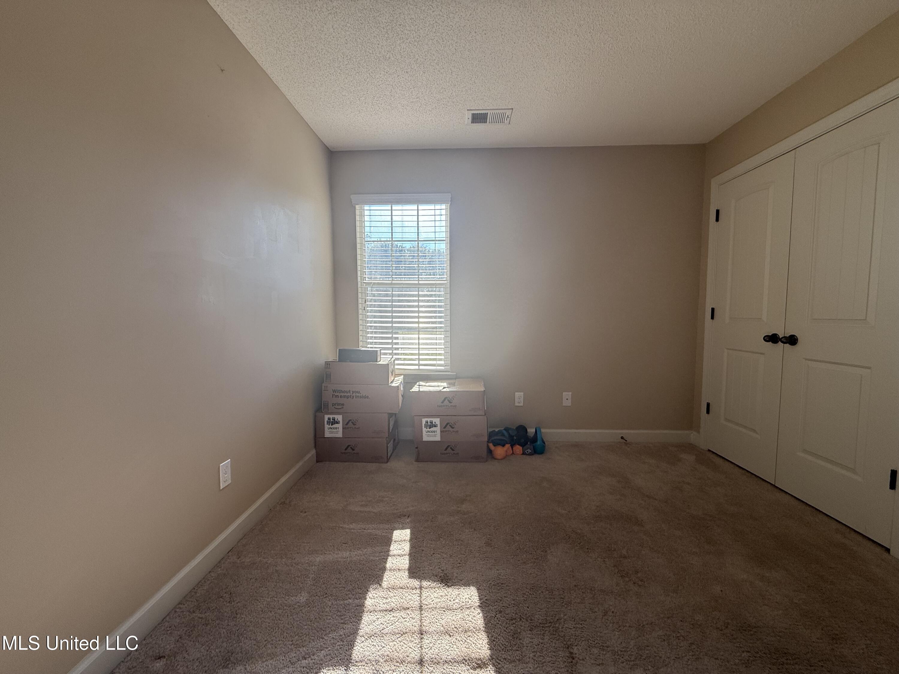 8245 Morning Sun Cove Walls, MS 38680 - Photo 25 of 30 IMG_4872