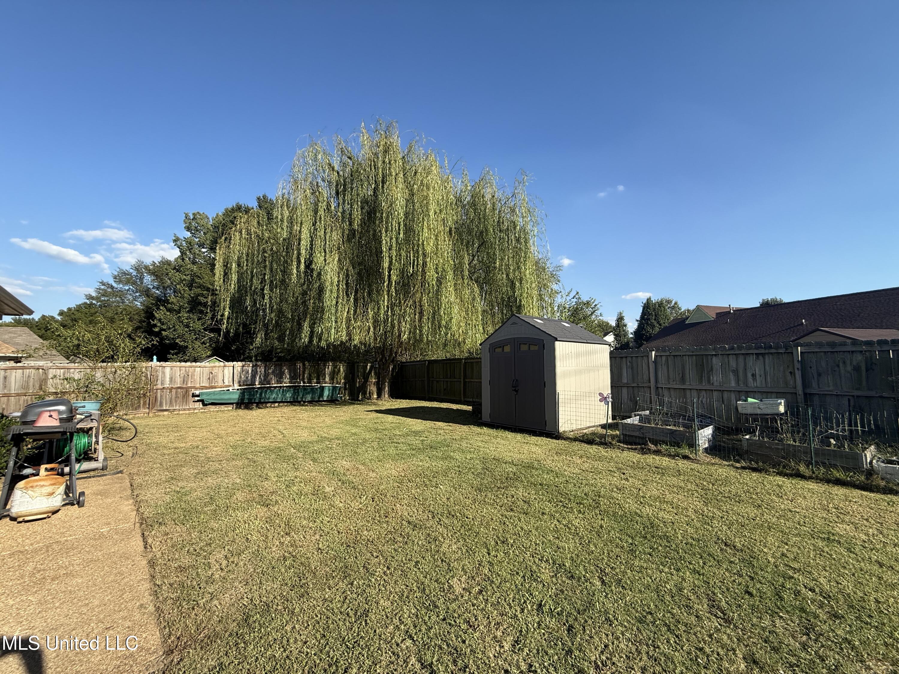 8245 Morning Sun Cove Walls, MS 38680 - Photo 27 of 30 IMG_4875