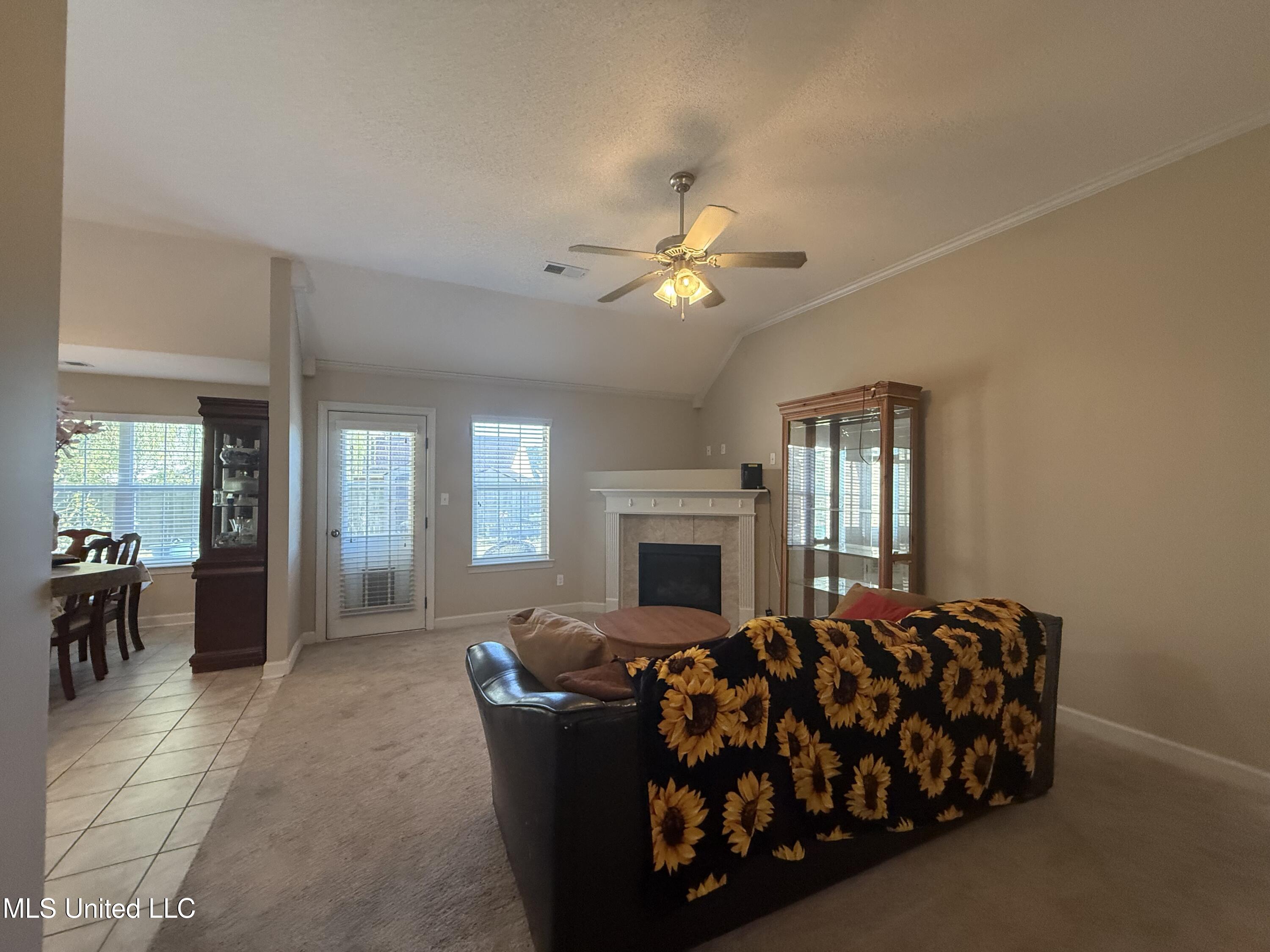 8245 Morning Sun Cove Walls, MS 38680 - Photo 3 of 30 IMG_4826