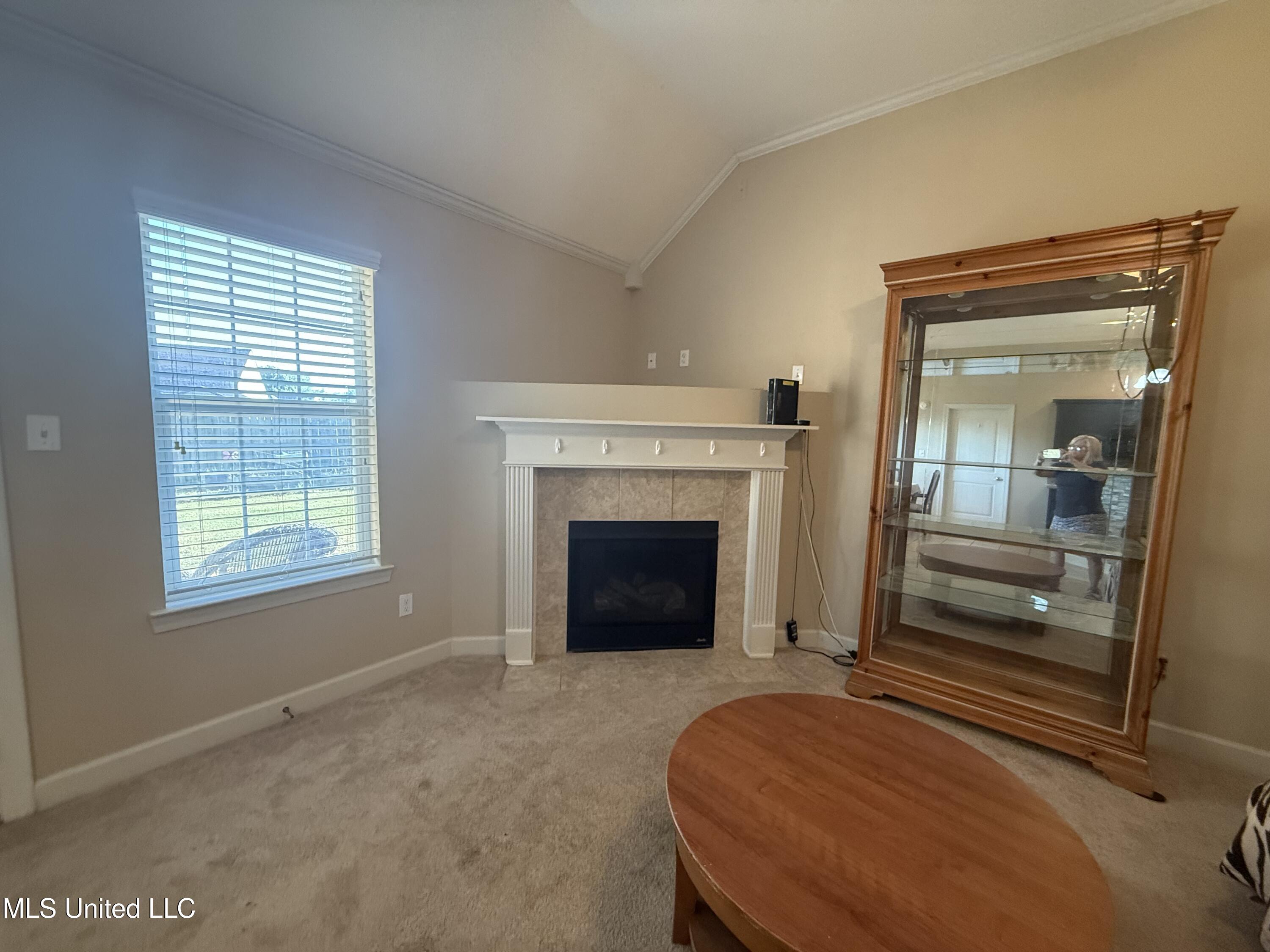 8245 Morning Sun Cove Walls, MS 38680 - Photo 5 of 30 IMG_4829