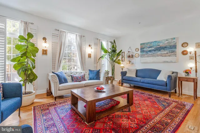 a living room with furniture a rug and a potted plant