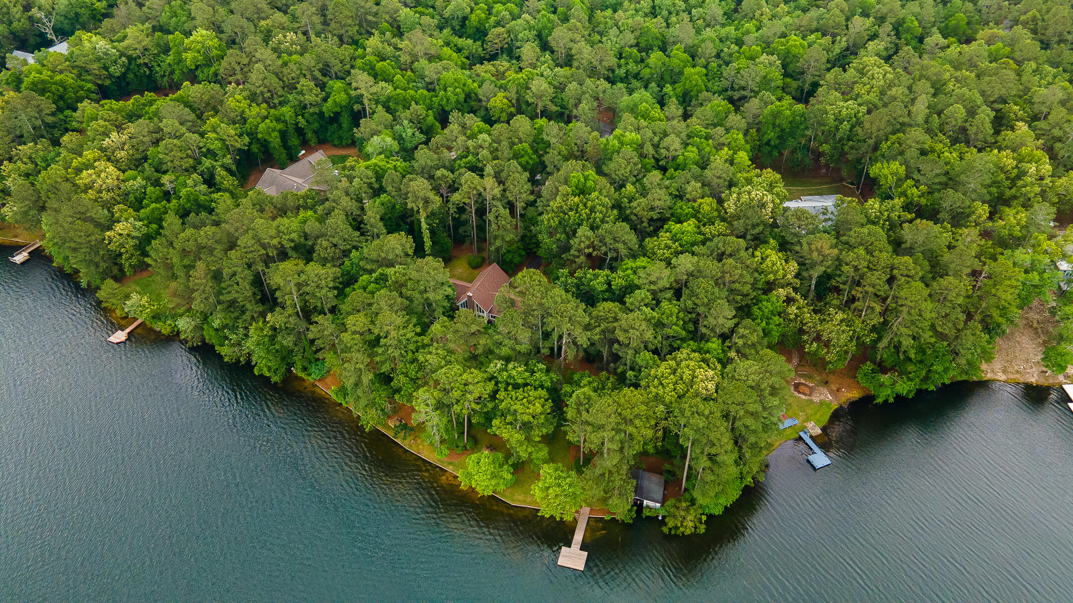 1049 Edisto Lake Road Wagener, SC 29164 - Photo 7 of 96