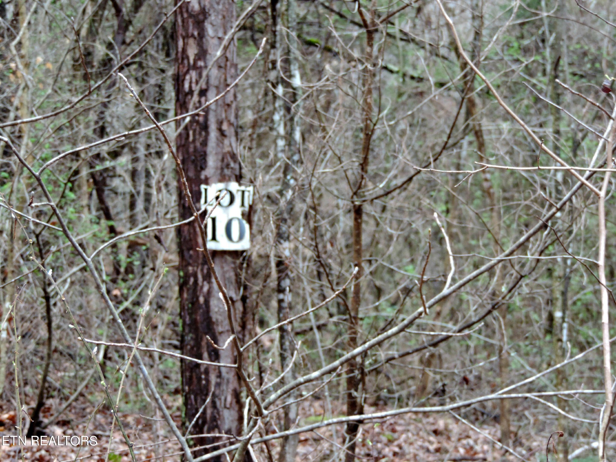 10 Hickory Spgs Road Washburn, TN 37888 - Photo 5 of 21 Gallery Image 5