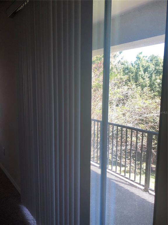 4830 Wandering Way Wesley Chapel, FL 33544 - Photo 21 of 21