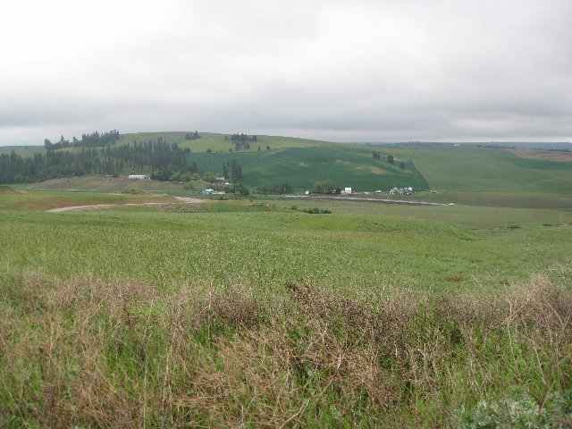 0 East Gibbs Road, Unit PARCEL B Spokane, WA 99223 - Photo 3 of 8 Gallery Image 3